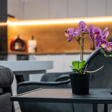 Briz Sea View With Free Parking *